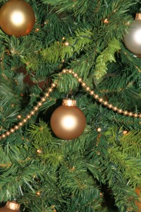Kerst2011_IMG_476229_k