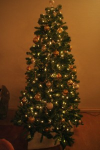 Kerst2011_IMG_477034_k