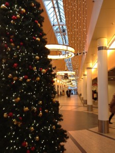 2016-01-04 15.20.43-k    