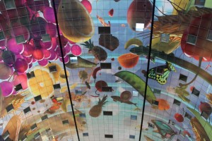 Markthal2014_20141108_151958_008