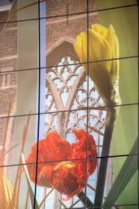 Markthal2014_20141108_154125_029