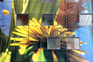 Markthal2014_20141108_160820_036