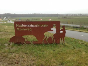 2016-01-23 11.36.52_k 