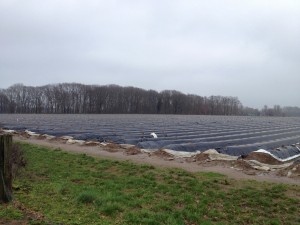 2016-01-23 15.24.17_k  