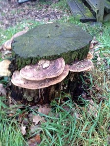 2016-01-23 17.06.22_k 